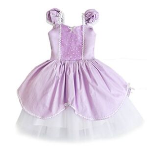 Princess dress purple Sofia the First Size 2-4
